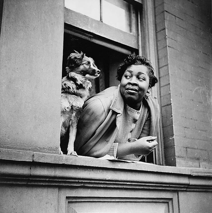 The Great Migration: Harlem Renaissance