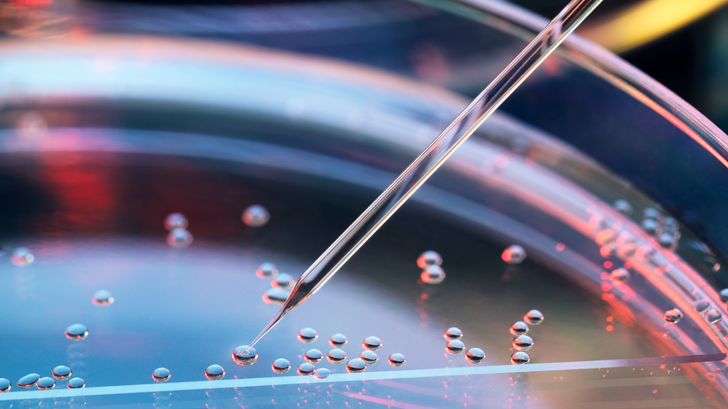 A closer look at cloning