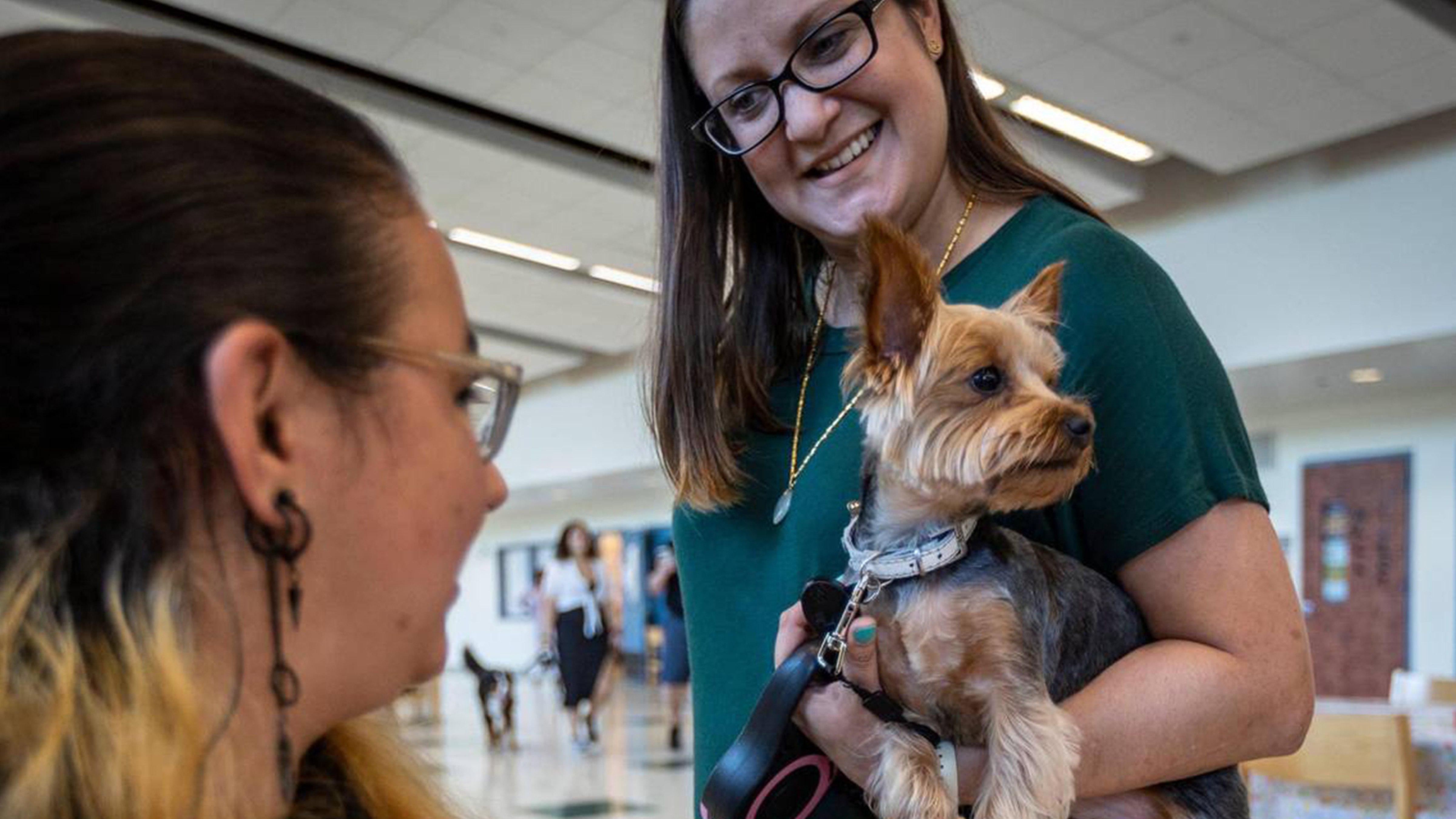 Florida High School Welcomes Emotional Support Animals florida-high-school-welcomes-emotional-support-animals