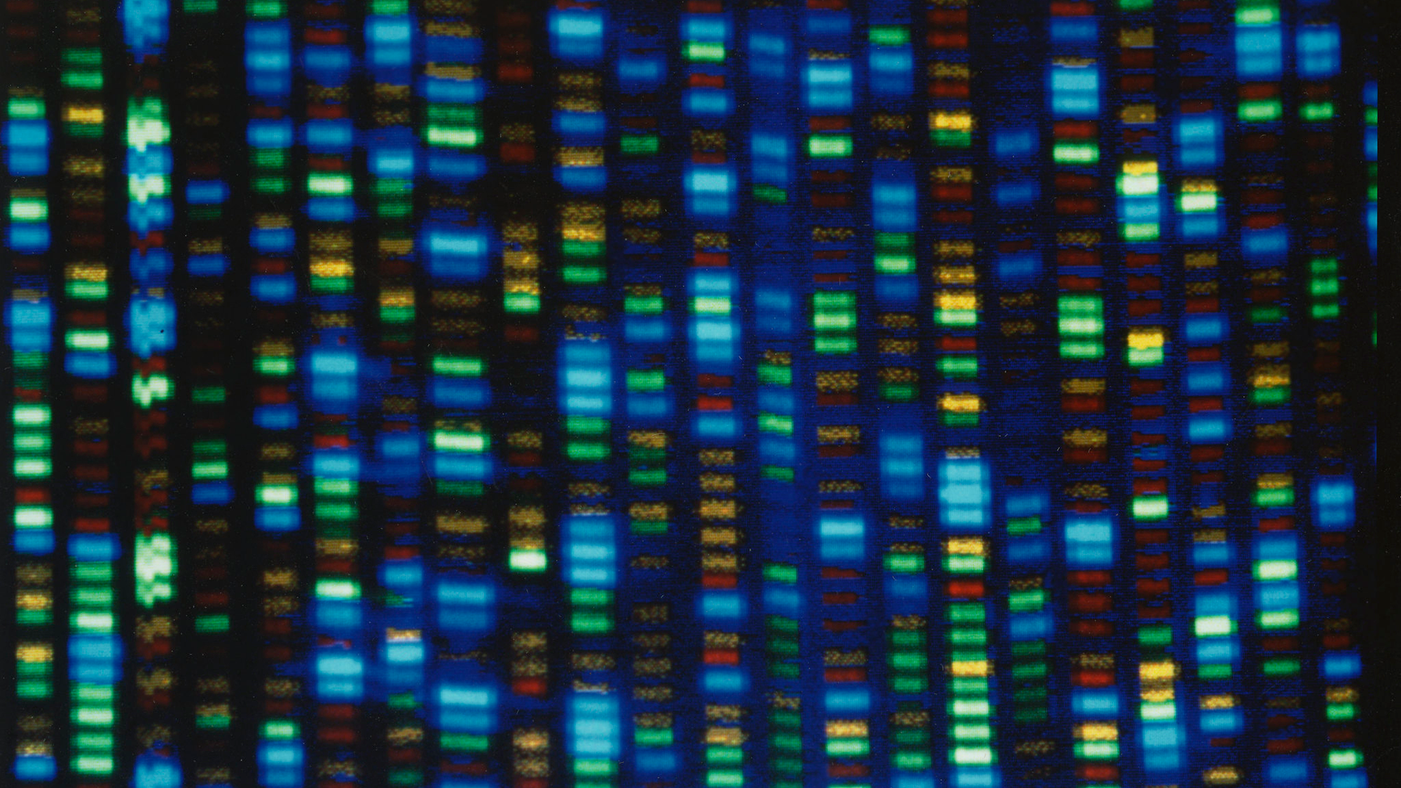 Afro Database A 10-year initiative: Scientists creating the world's largest African ...