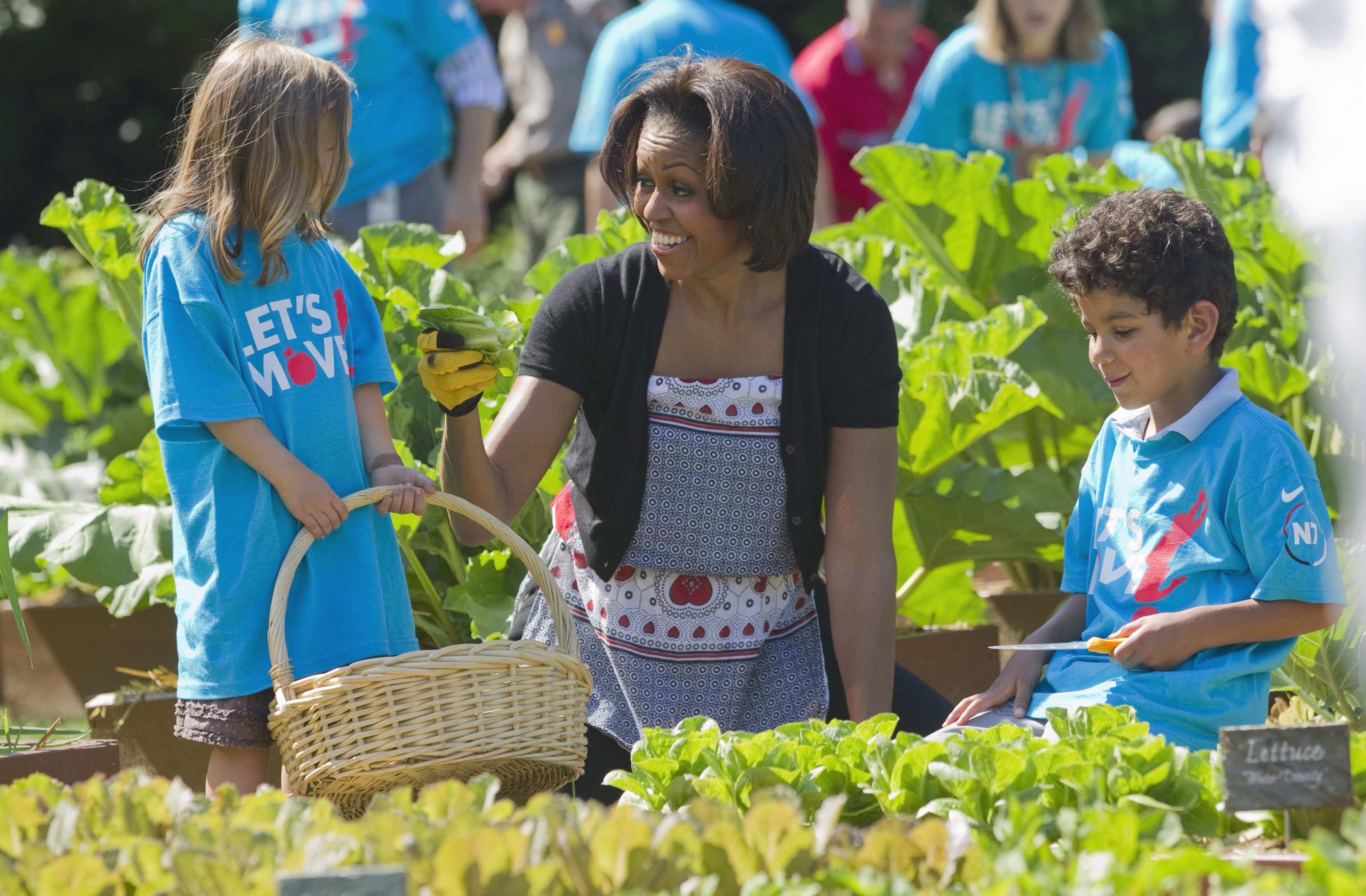 PRO/CON: Should parents support the new school meal standards?