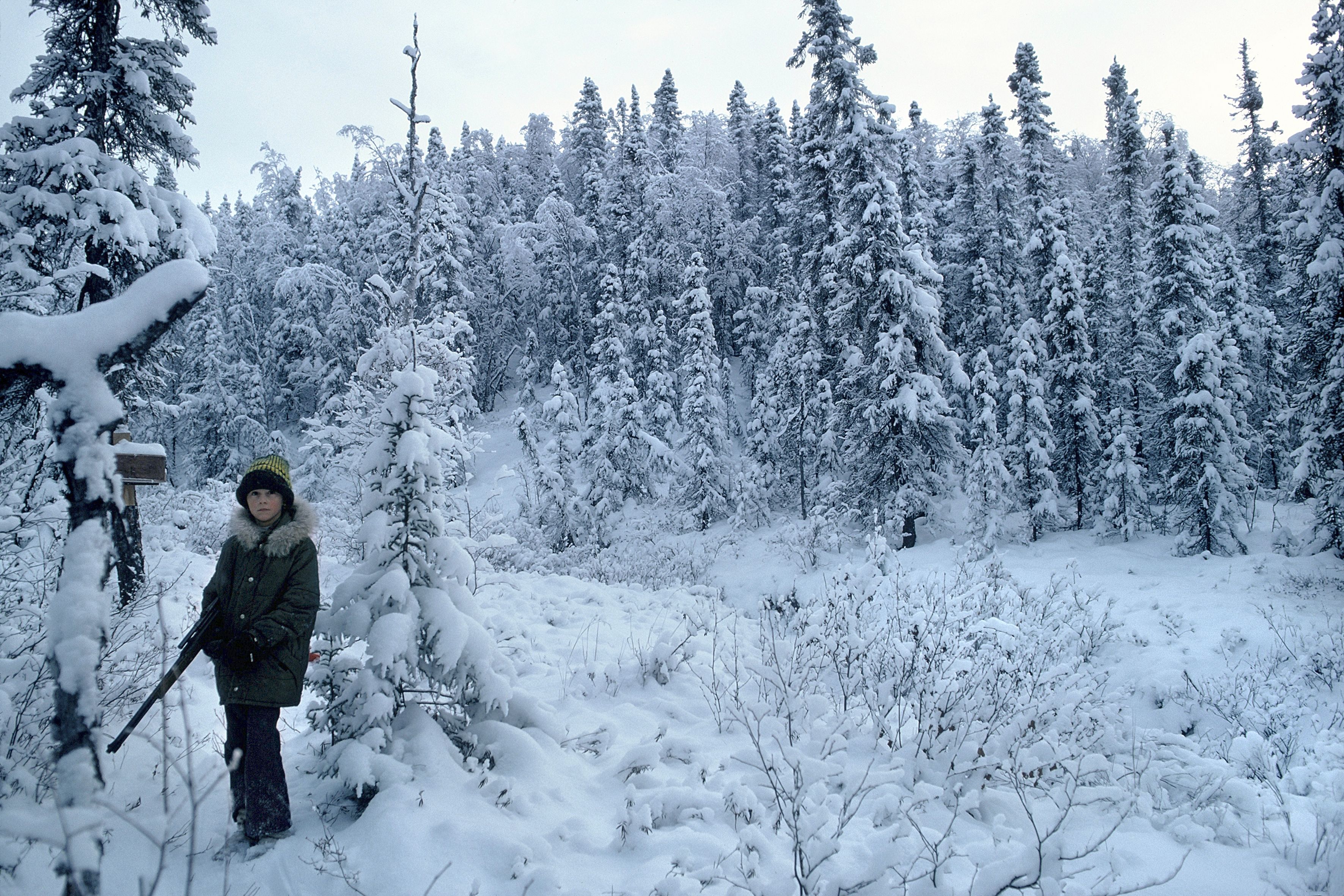 Water pipes freeze, stoves don't work; Alaskans shiver at 50 below zero