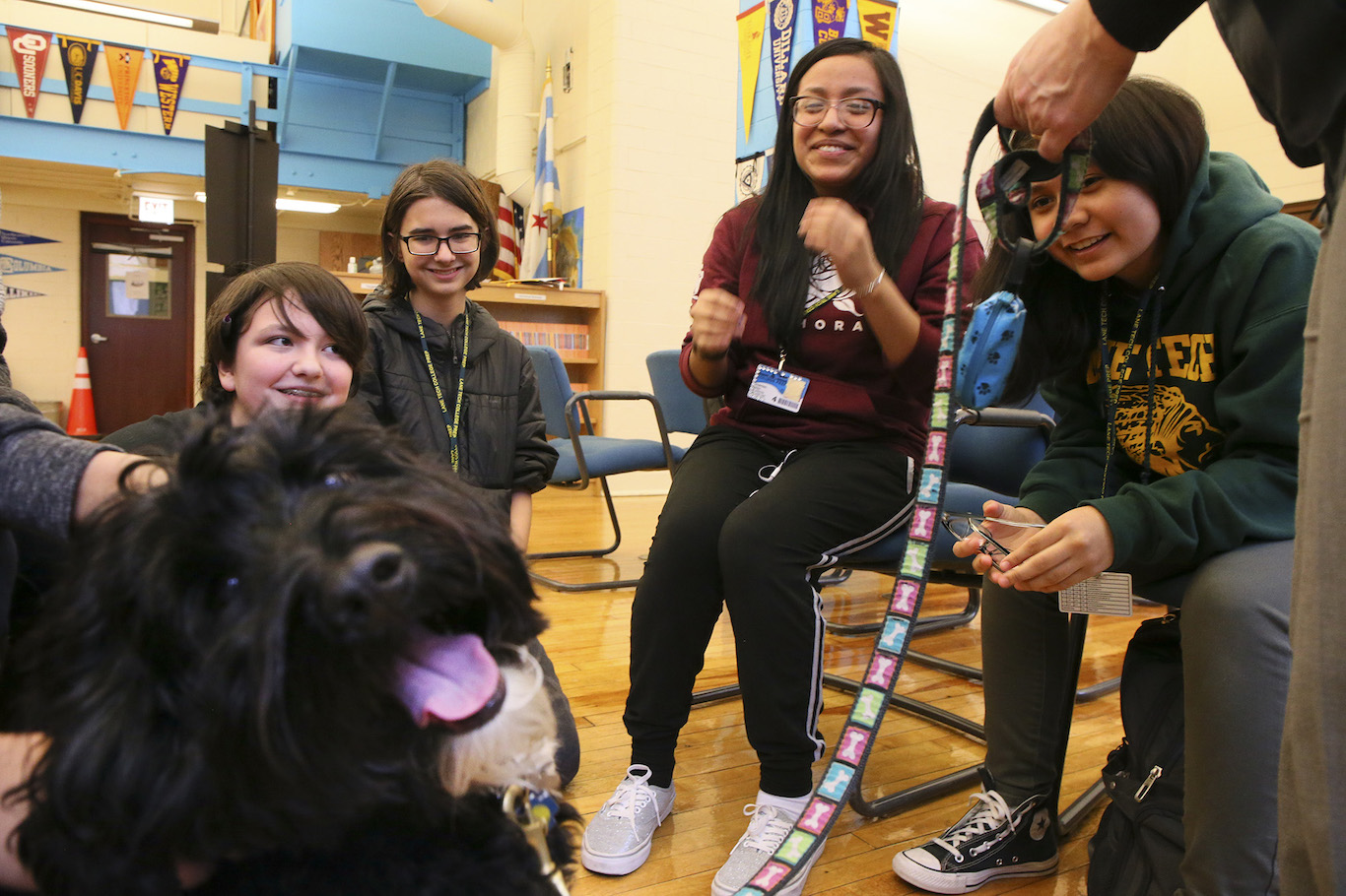 Snuggling therapy dogs can help students stress less over exams