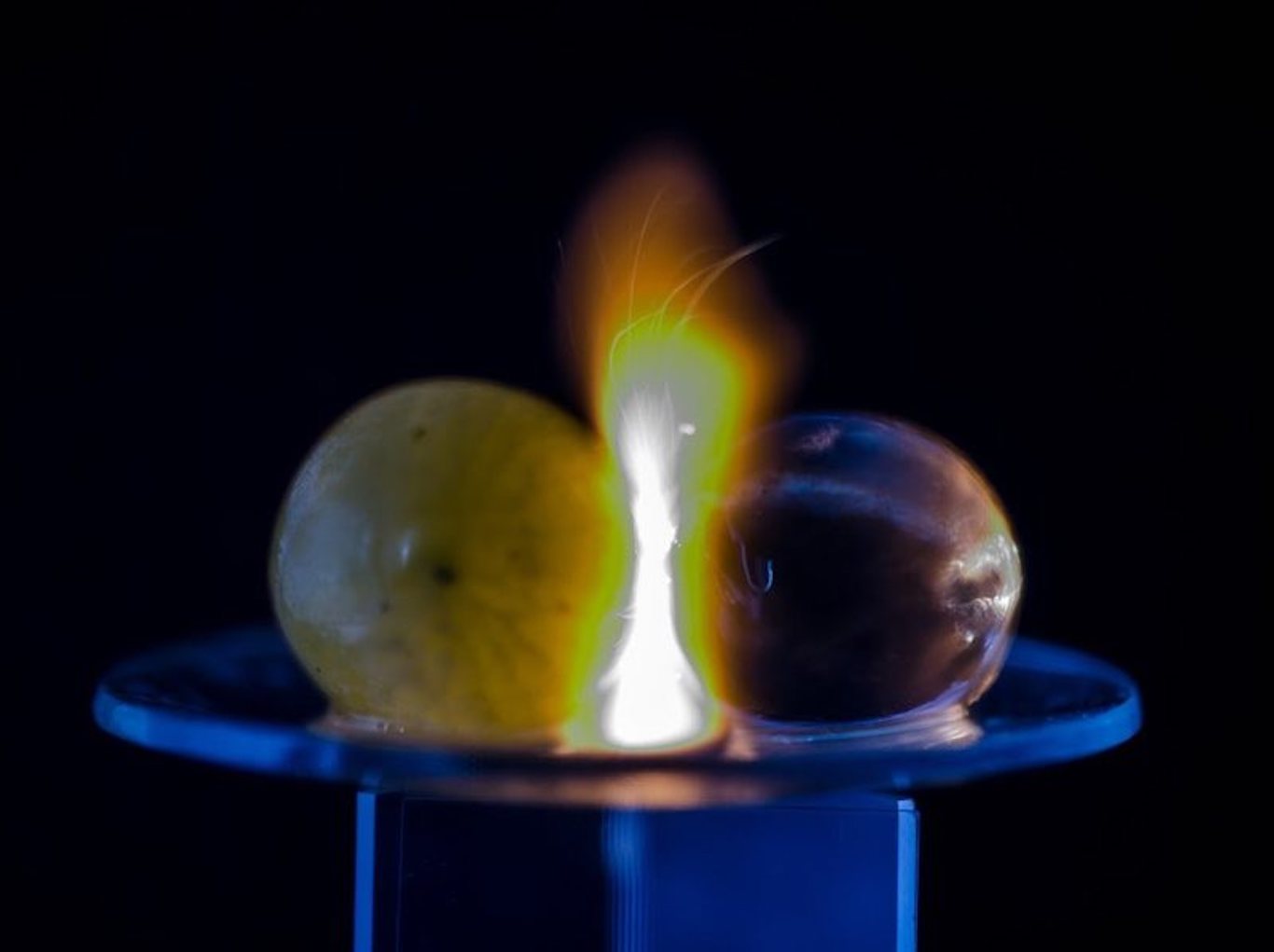 These physicists finally figured out why microwaved grapes ignite