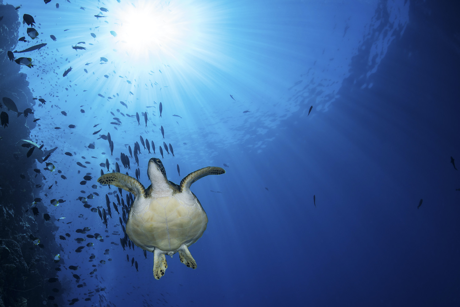 ocean-currents-explained