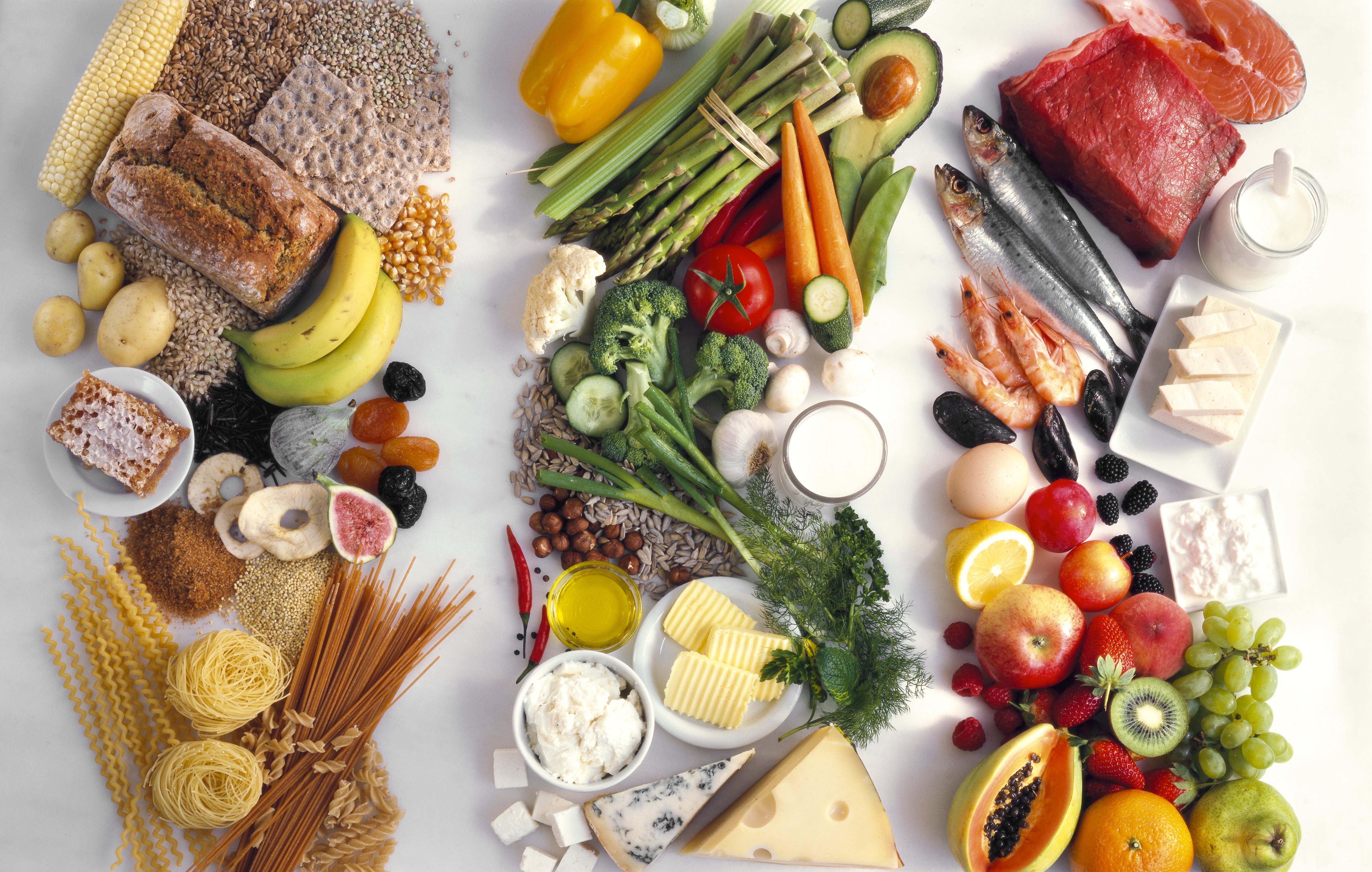 Learn about nutrition basics