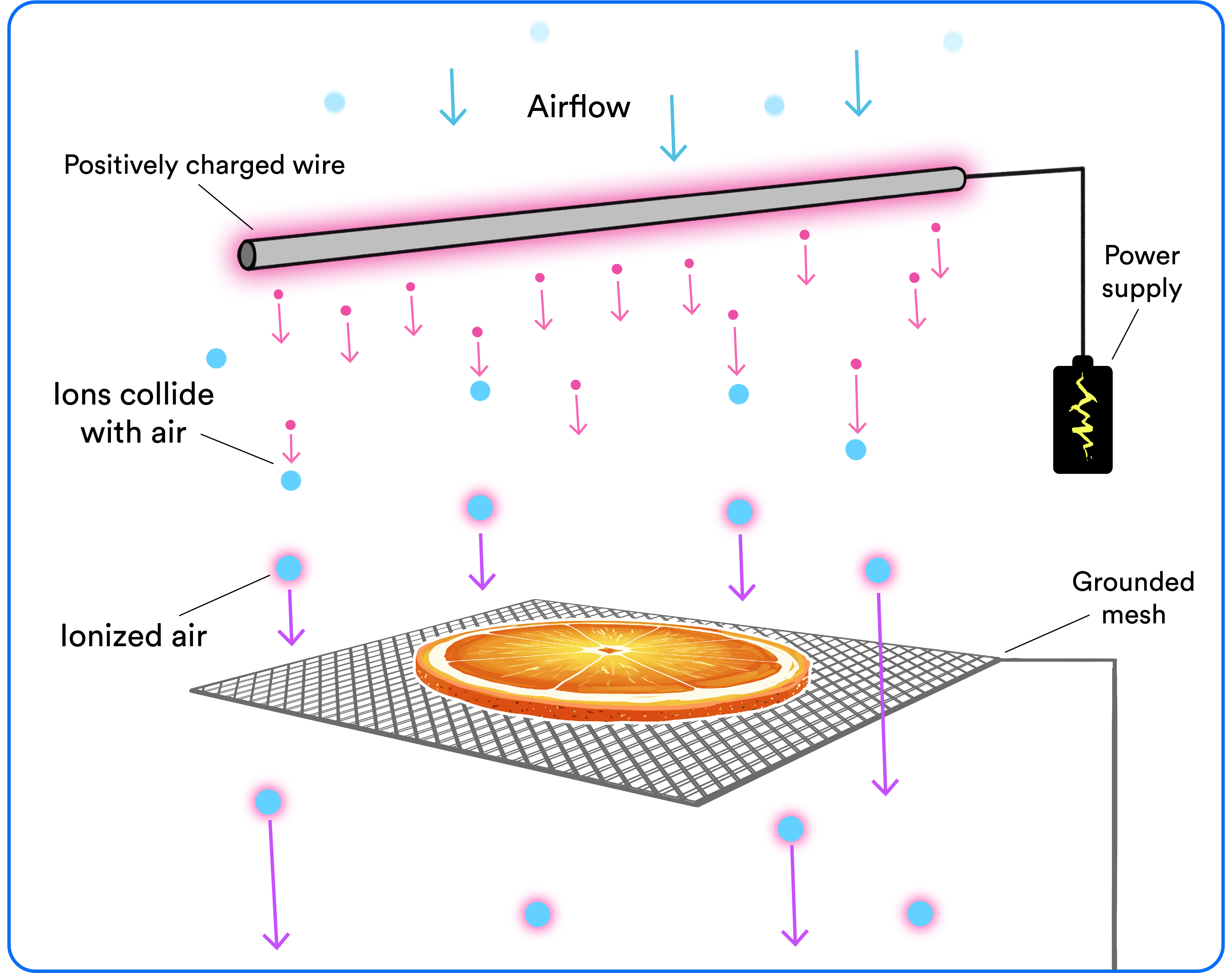 Newsela New "ionic wind" can dry foods while preserving nutrients
